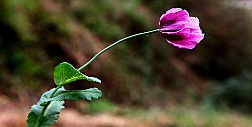 《最后的生还者》《死亡空间：重制版》FSR 3.0 MOD发布